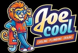 Joe Cool